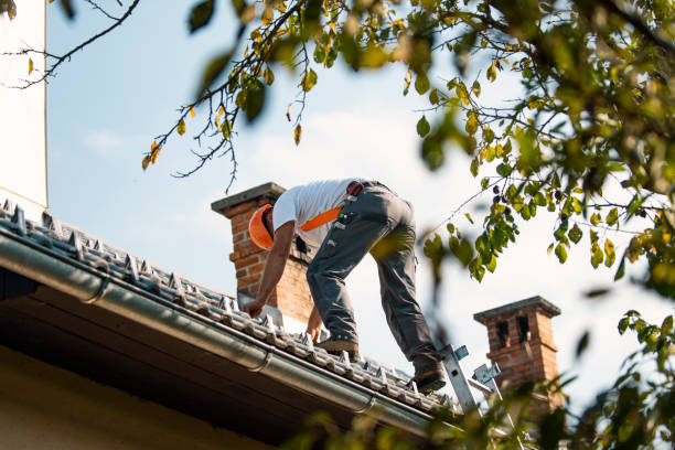 Best Roof Waterproofing Services  in Honsville, GA