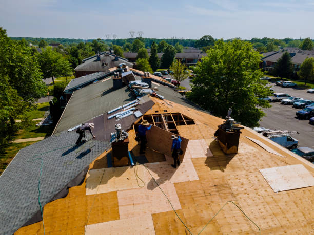 Best Roof Gutter Cleaning  in Honsville, GA