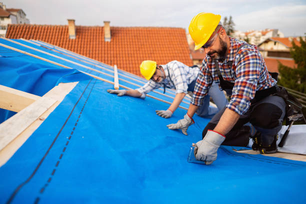 Best Emergency Roof Repair  in Honsville, GA